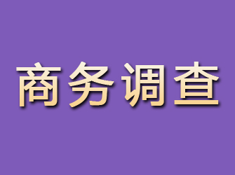 乾安商务调查